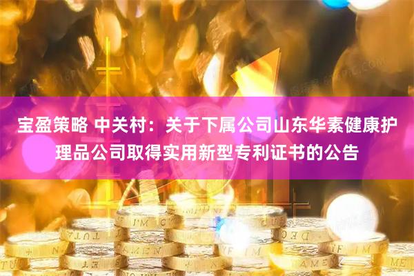 宝盈策略 中关村：关于下属公司山东华素健康护理品公司取得实用新型专利证书的公告