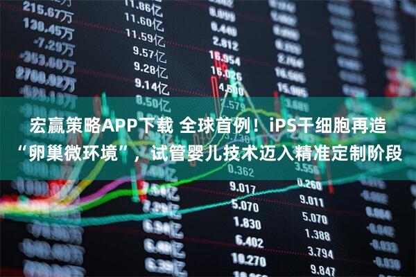 宏赢策略APP下载 全球首例！iPS干细胞再造“卵巢微环境”，试管婴儿技术迈入精准定制阶段